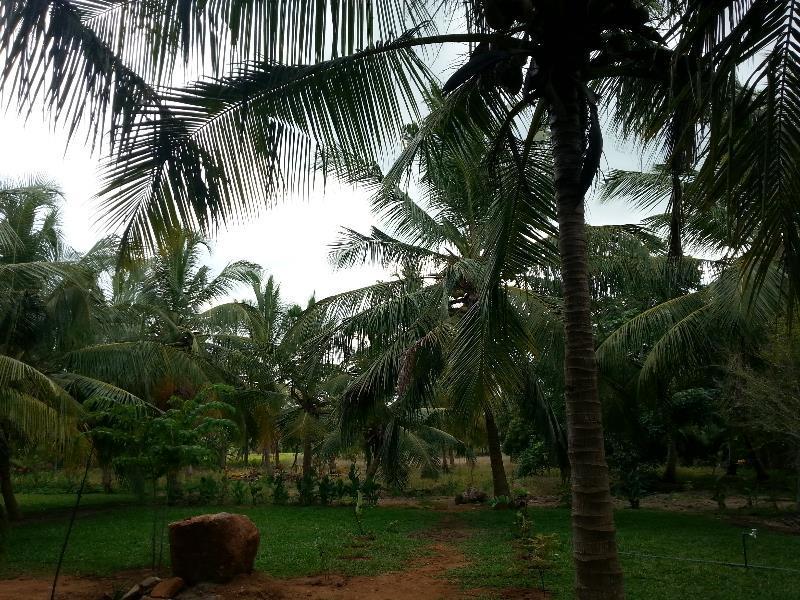 Serenity Lake Resort Yala Tissamaharama Luaran gambar