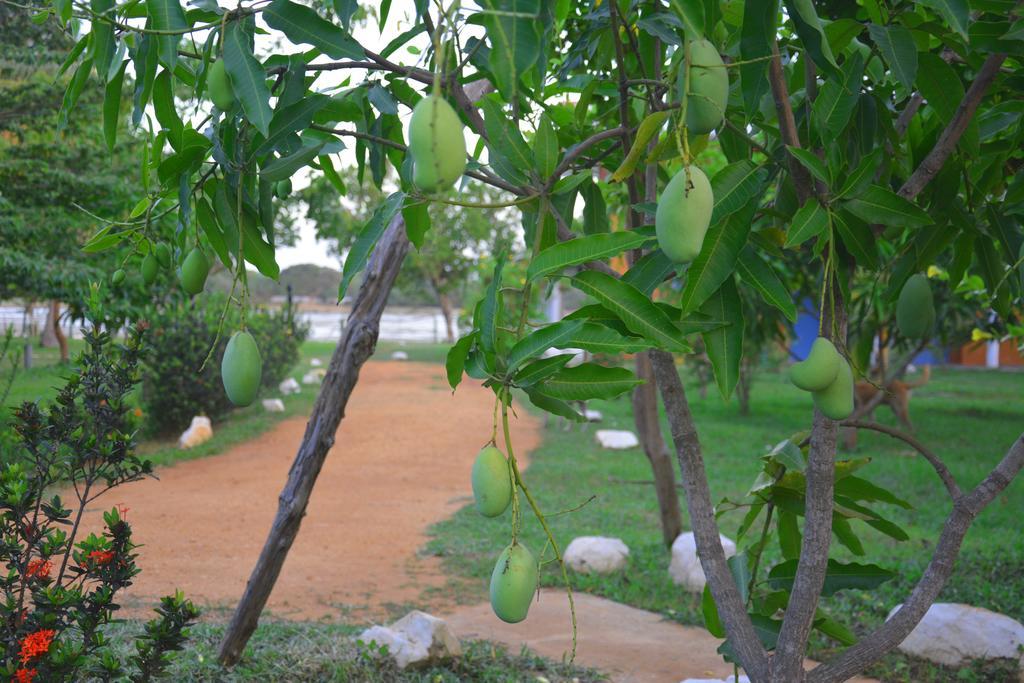 Serenity Lake Resort Yala Tissamaharama Luaran gambar