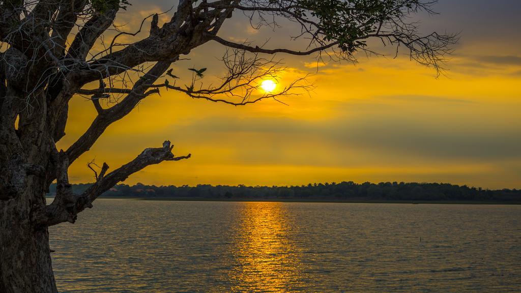 Serenity Lake Resort Yala Tissamaharama Luaran gambar